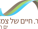 מועצה אזורית תמר